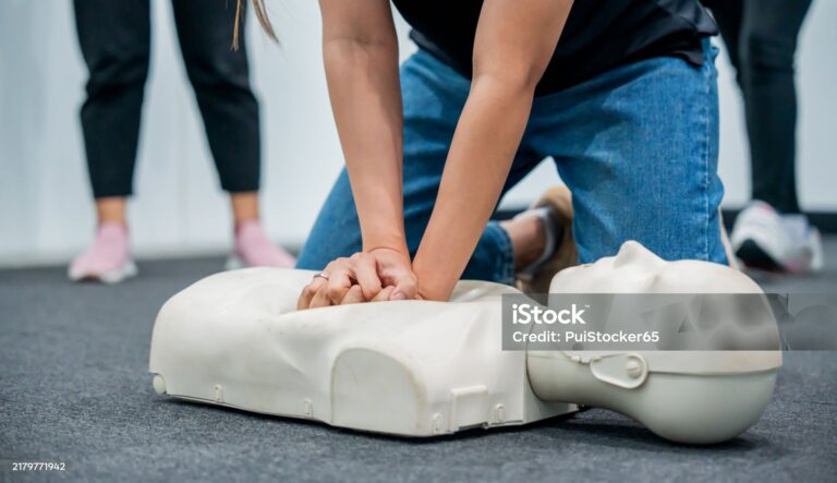 Hippocampus - istockphoto-2179771942-2048x2048-1-768x443